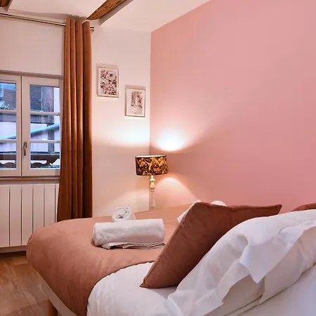 Appartamento La Vie En Rose Colmar